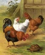 unknow artist Cocks 096 oil painting reproduction